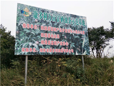 008PG国际,油茶种植出产加工销售,植物油种植出产加工销售