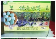 008PG国际,油茶种植出产加工销售,植物油种植出产加工销售