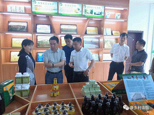 008PG国际,油茶种植出产加工销售,植物油种植出产加工销售